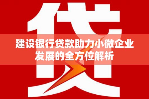 水林建设银行贷款助力小微企业发展的全方位解析