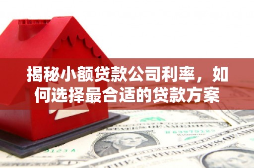 水林揭秘小额贷款公司利率，如何选择最合适的贷款方案