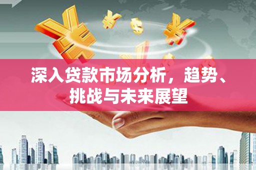 水林深入贷款市场分析，趋势、挑战与未来展望
