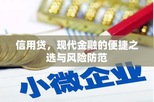 水林信用贷，现代金融的便捷之选与风险防范
