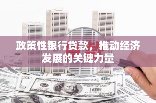 水林政策性银行贷款，推动经济发展的关键力量