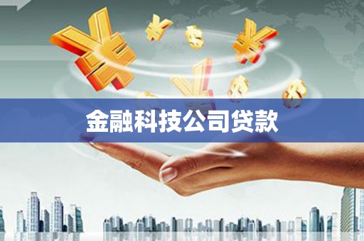 水林金融科技公司贷款