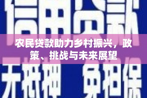 水林农民贷款助力乡村振兴，政策、挑战与未来展望