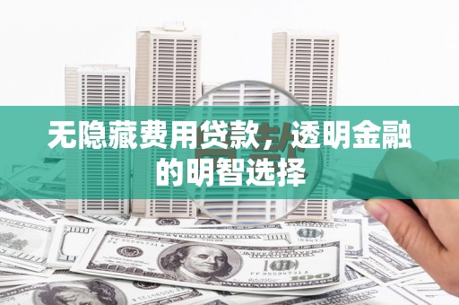水林无隐藏费用贷款，透明金融的明智选择