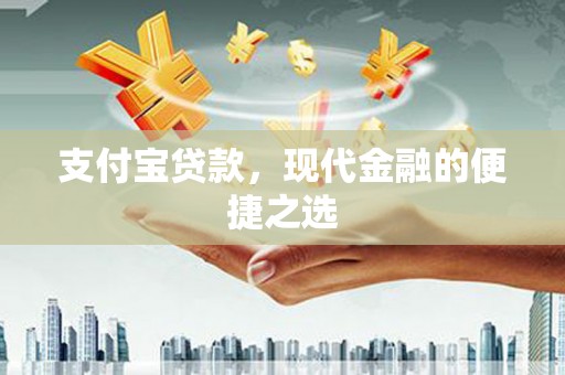 水林支付宝贷款，现代金融的便捷之选