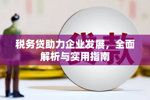 水林税务贷助力企业发展，全面解析与实用指南