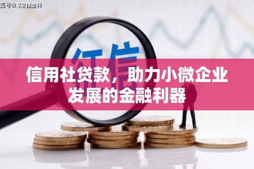 水林信用社贷款，助力小微企业发展的金融利器