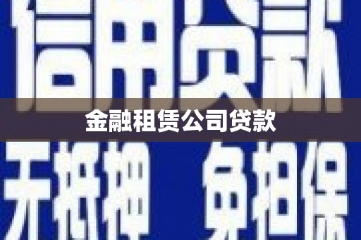 水林金融租赁公司贷款