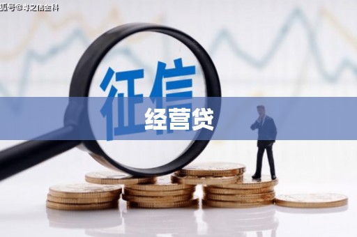 水林经营贷