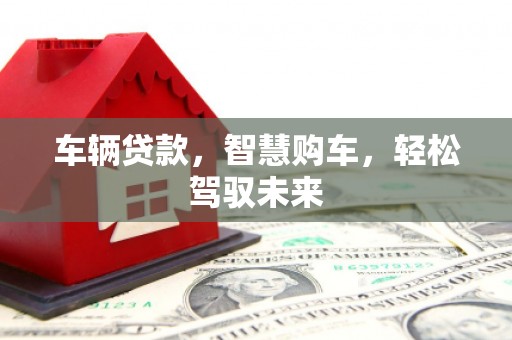 水林车辆贷款，智慧购车，轻松驾驭未来