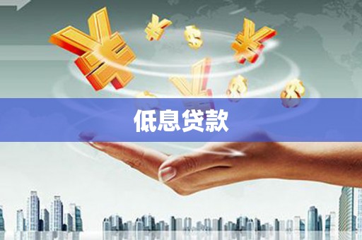 水林低息贷款