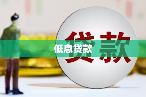 水林低息贷款