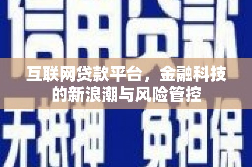 水林互联网贷款平台，金融科技的新浪潮与风险管控