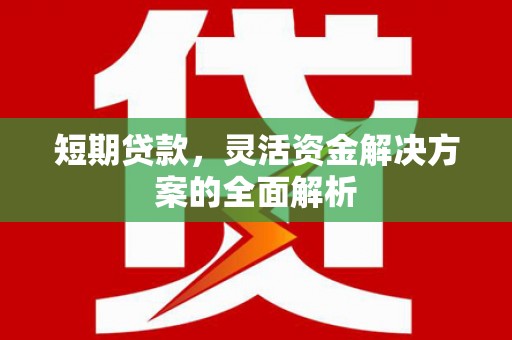 水林短期贷款，灵活资金解决方案的全面解析