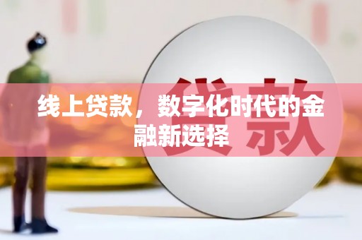 水林线上贷款，数字化时代的金融新选择