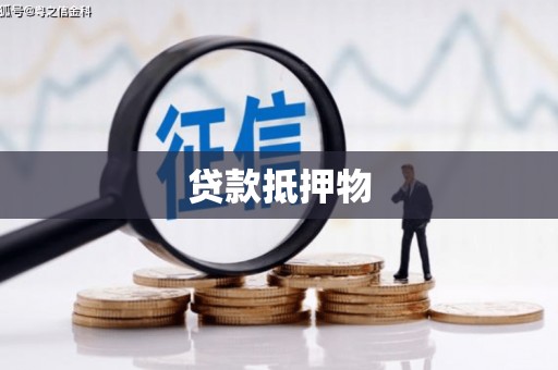 水林贷款抵押物