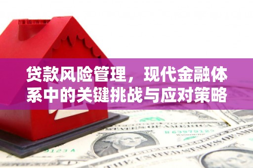 水林贷款风险管理，现代金融体系中的关键挑战与应对策略