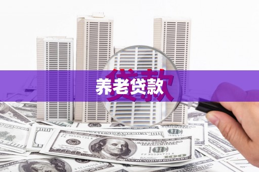 水林养老贷款