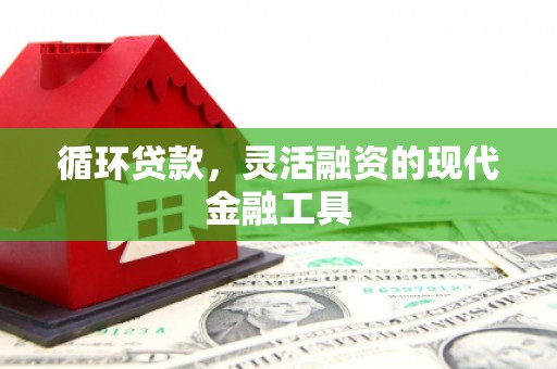 水林循环贷款，灵活融资的现代金融工具