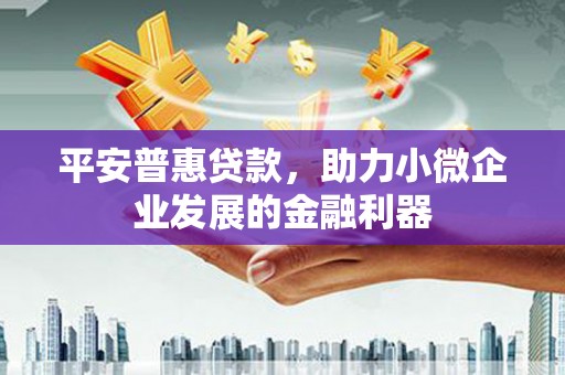 水林平安普惠贷款，助力小微企业发展的金融利器