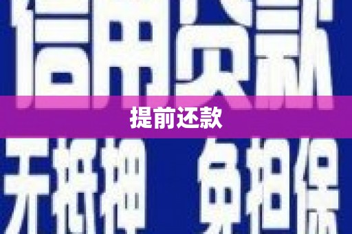 水林提前还款