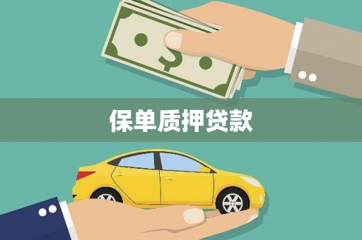 水林保单质押贷款