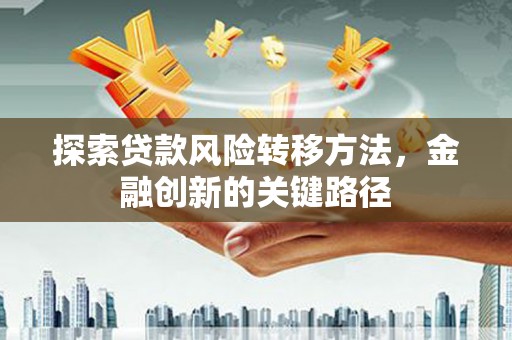 水林探索贷款风险转移方法，金融创新的关键路径