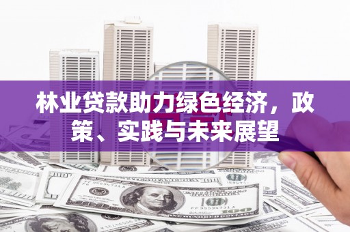 水林林业贷款助力绿色经济，政策、实践与未来展望