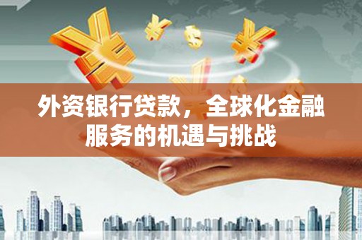 水林外资银行贷款，全球化金融服务的机遇与挑战