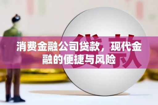 水林消费金融公司贷款，现代金融的便捷与风险