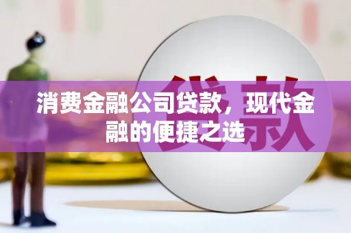 水林消费金融公司贷款，现代金融的便捷之选