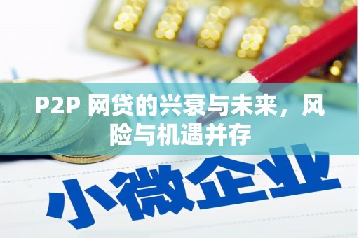 水林P2P 网贷的兴衰与未来，风险与机遇并存