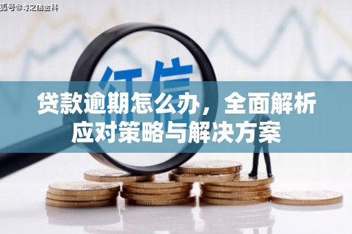 水林贷款逾期怎么办，全面解析应对策略与解决方案