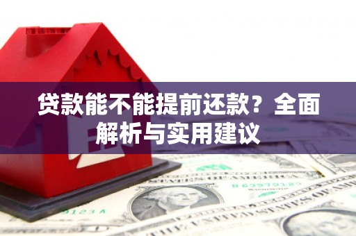 水林贷款能不能提前还款？全面解析与实用建议