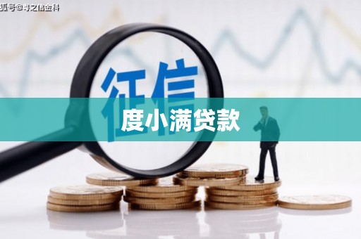 水林度小满贷款