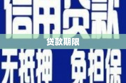 水林贷款期限
