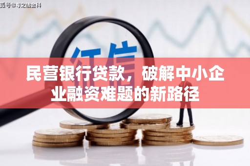 水林民营银行贷款，破解中小企业融资难题的新路径