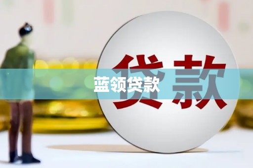 水林蓝领贷款