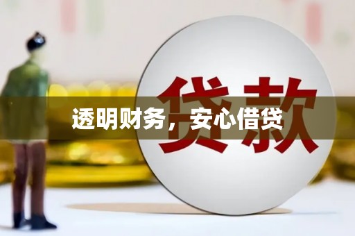 水林透明财务，安心借贷