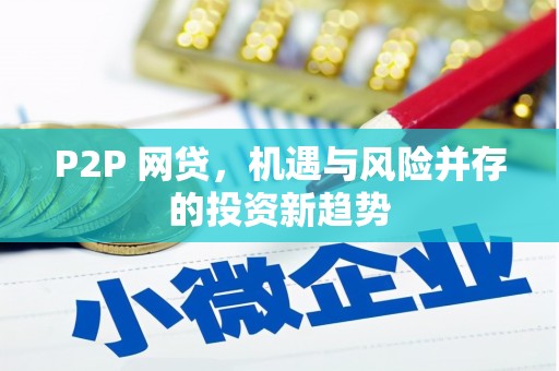 水林P2P 网贷，机遇与风险并存的投资新趋势