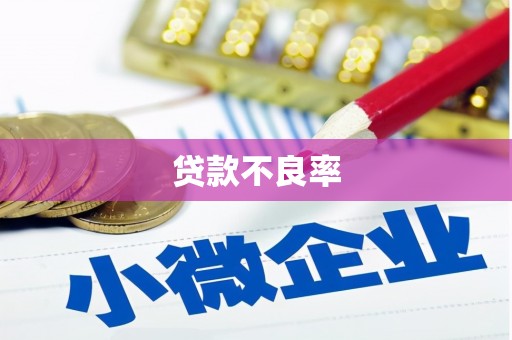 水林贷款不良率
