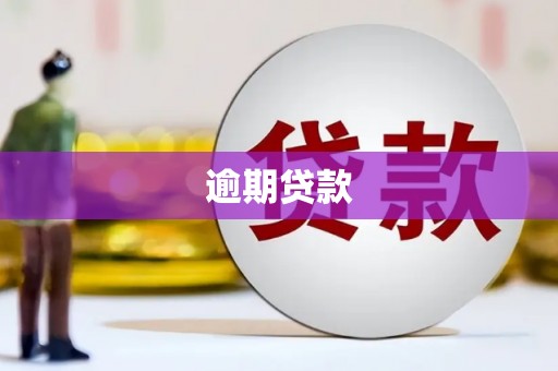 水林逾期贷款