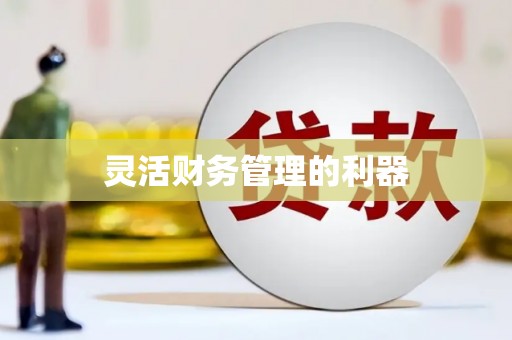 水林灵活财务管理的利器