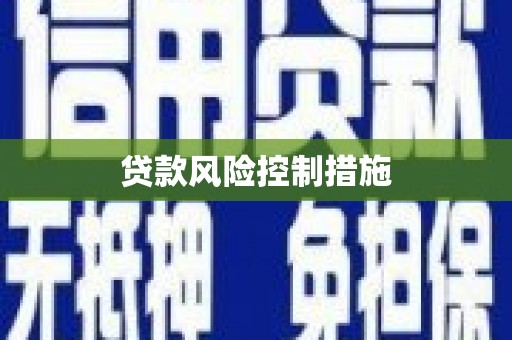 水林贷款风险控制措施