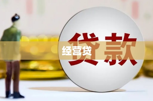 水林经营贷