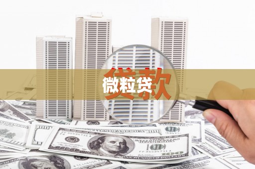 水林微粒贷