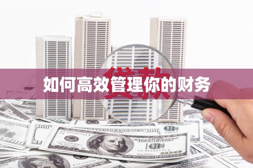 水林如何高效管理你的财务