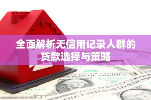 水林全面解析无信用记录人群的贷款选择与策略