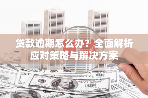 水林贷款逾期怎么办？全面解析应对策略与解决方案
