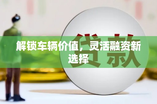 水林解锁车辆价值，灵活融资新选择